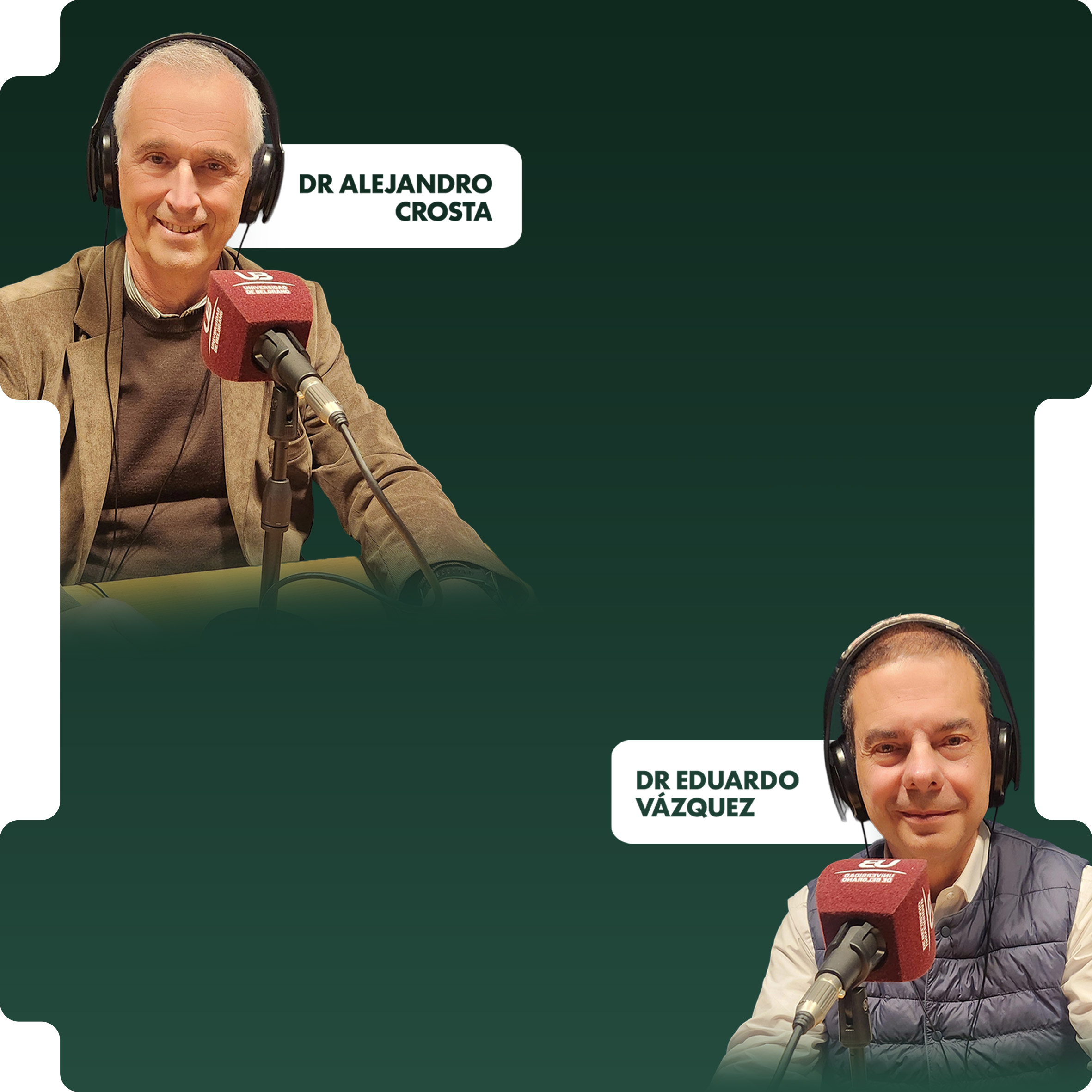 show-1